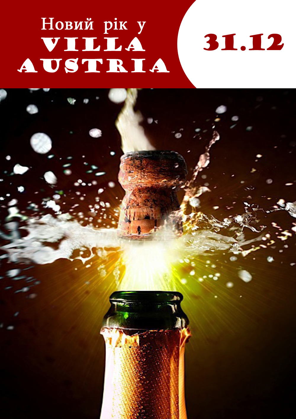 New Year in Villa Austria