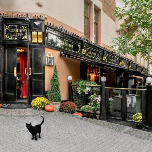 Pab & Restaurant «Black Cat»