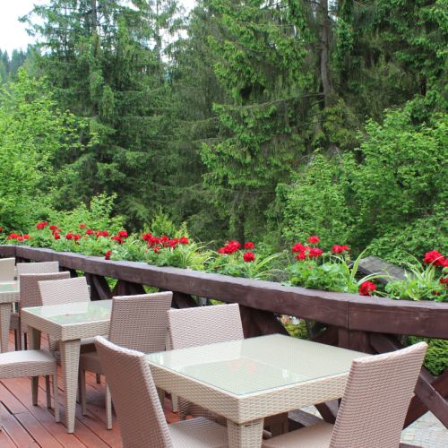 Vezha Vedmezha Hotel 